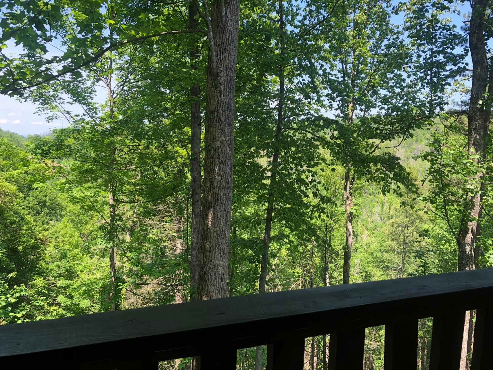 Black Bear Cove Gatlinburg Exterior photo